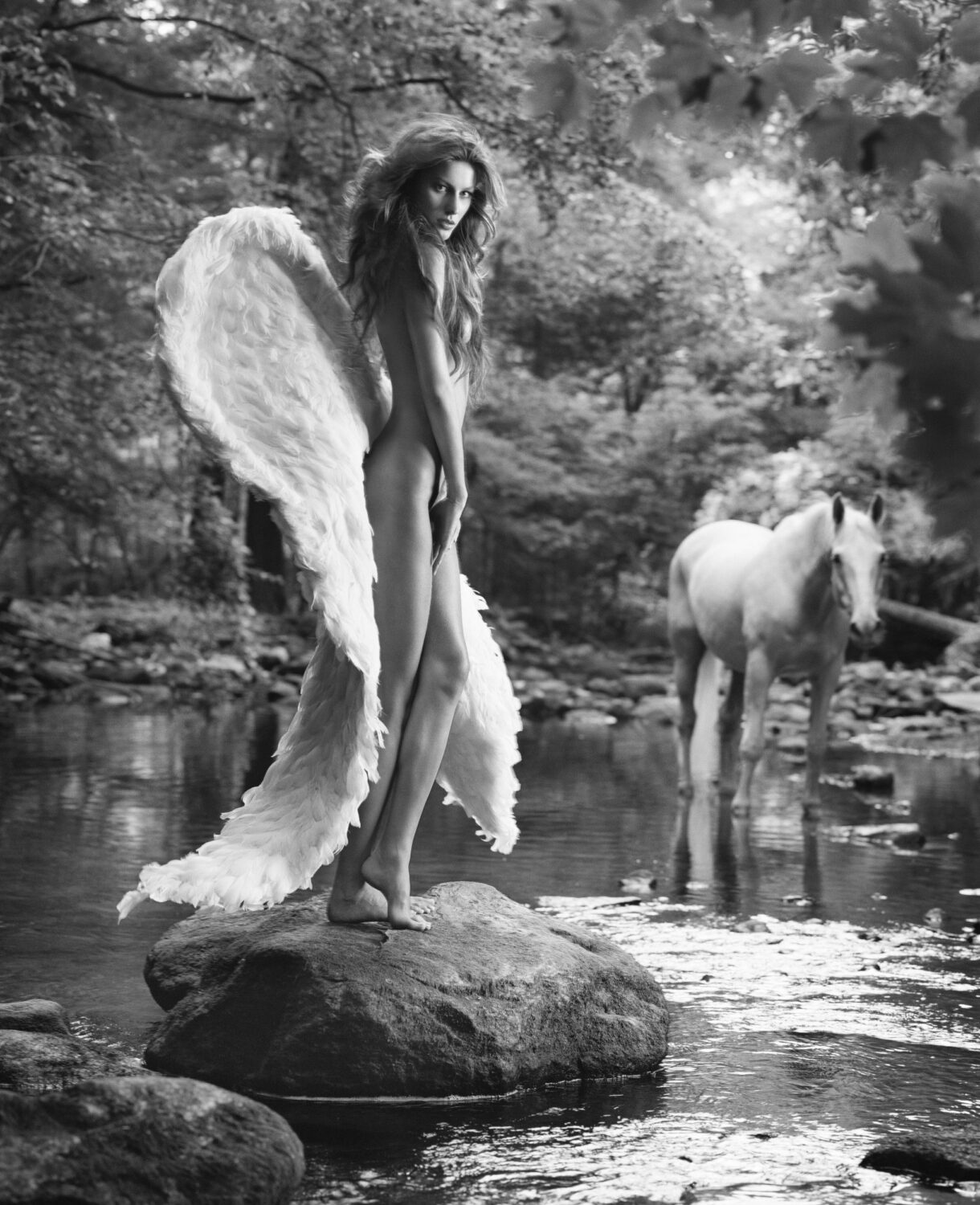 Russell James: Gisele Forest Angel