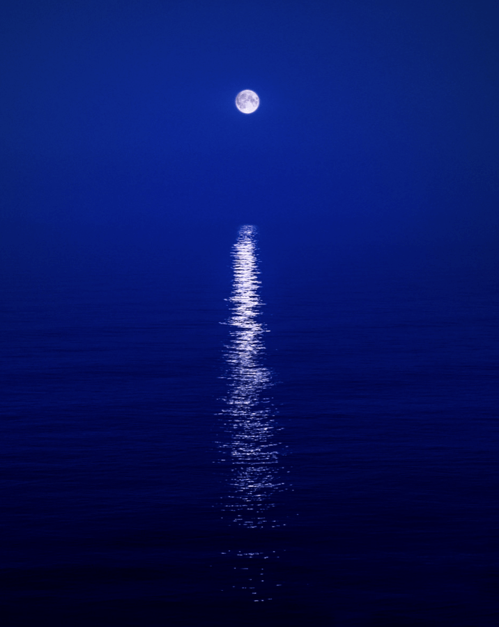 David Drebin: Moonshine