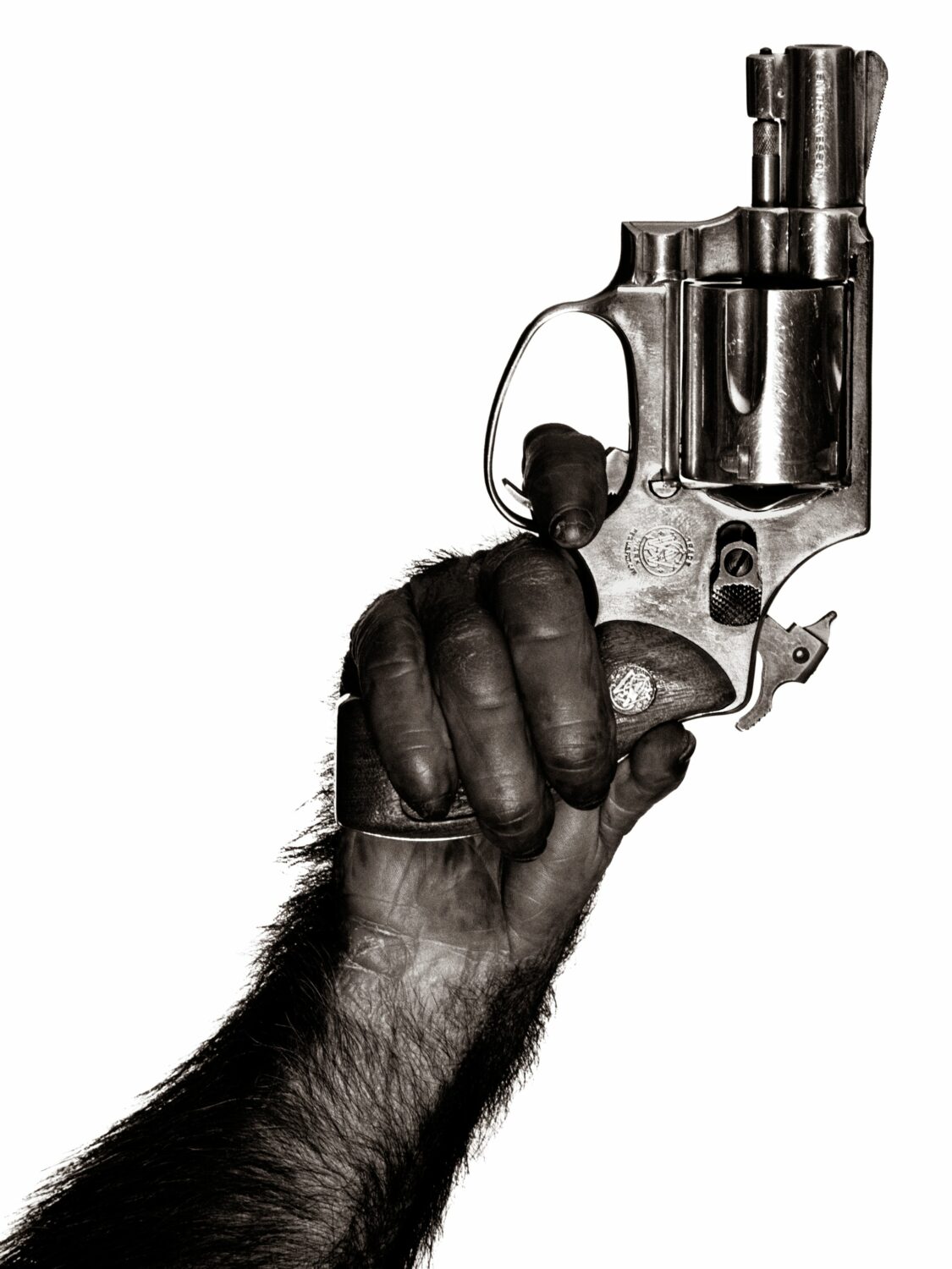Albert Watson: Monkey with Gun