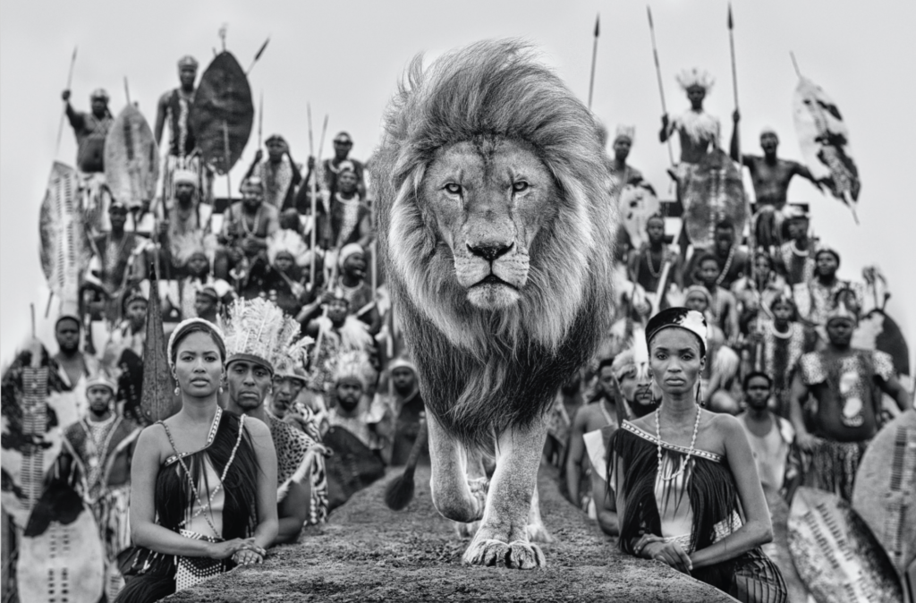 David Yarrow Catwalk CAMERA WORK