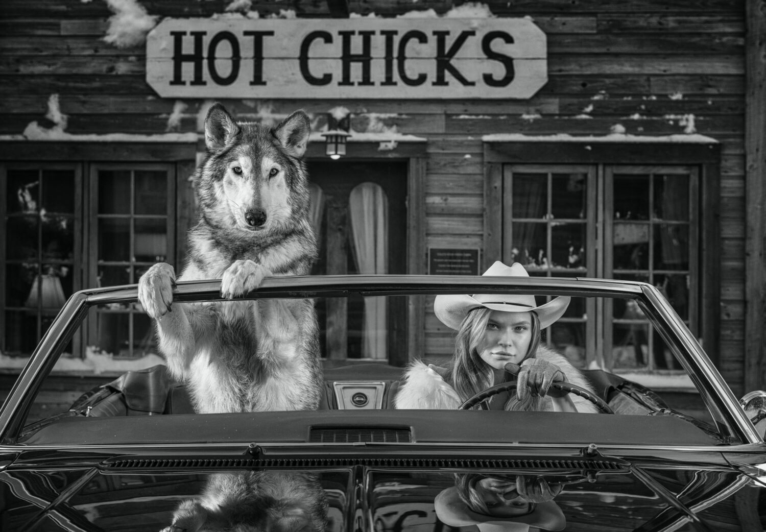 David Yarrow: Hot Chicks