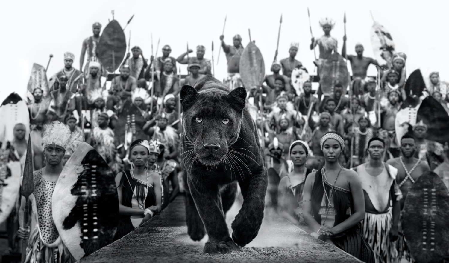 David Yarrow: I Am Black Panther