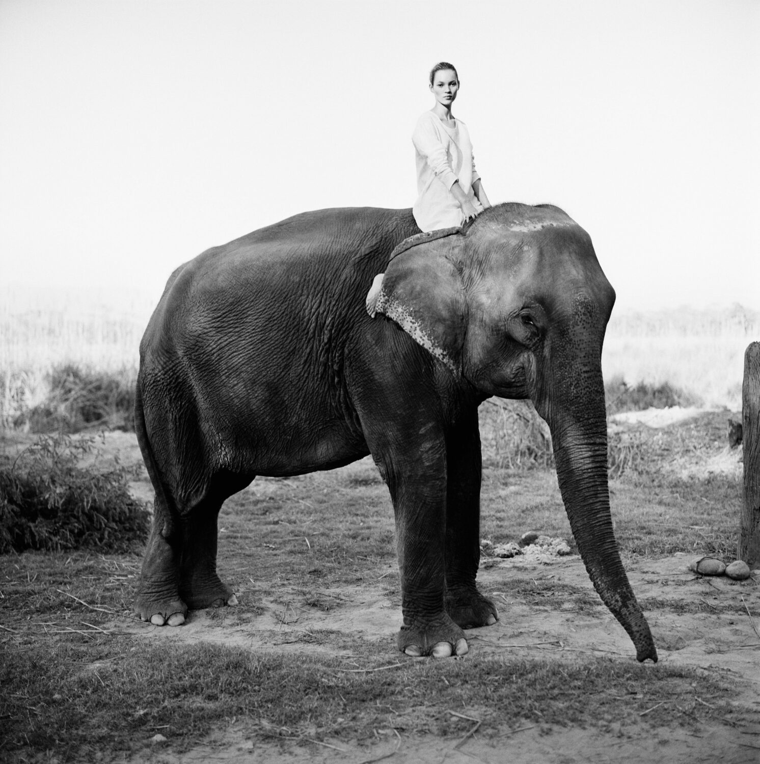 Arthur Elgort: Kate Moss on Elephant