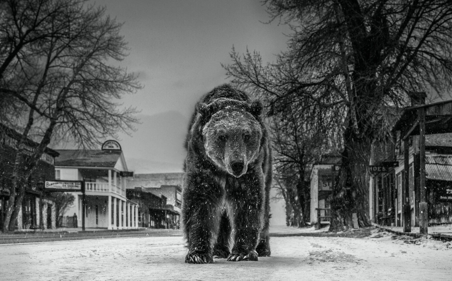 David Yarrow: Out of Towner