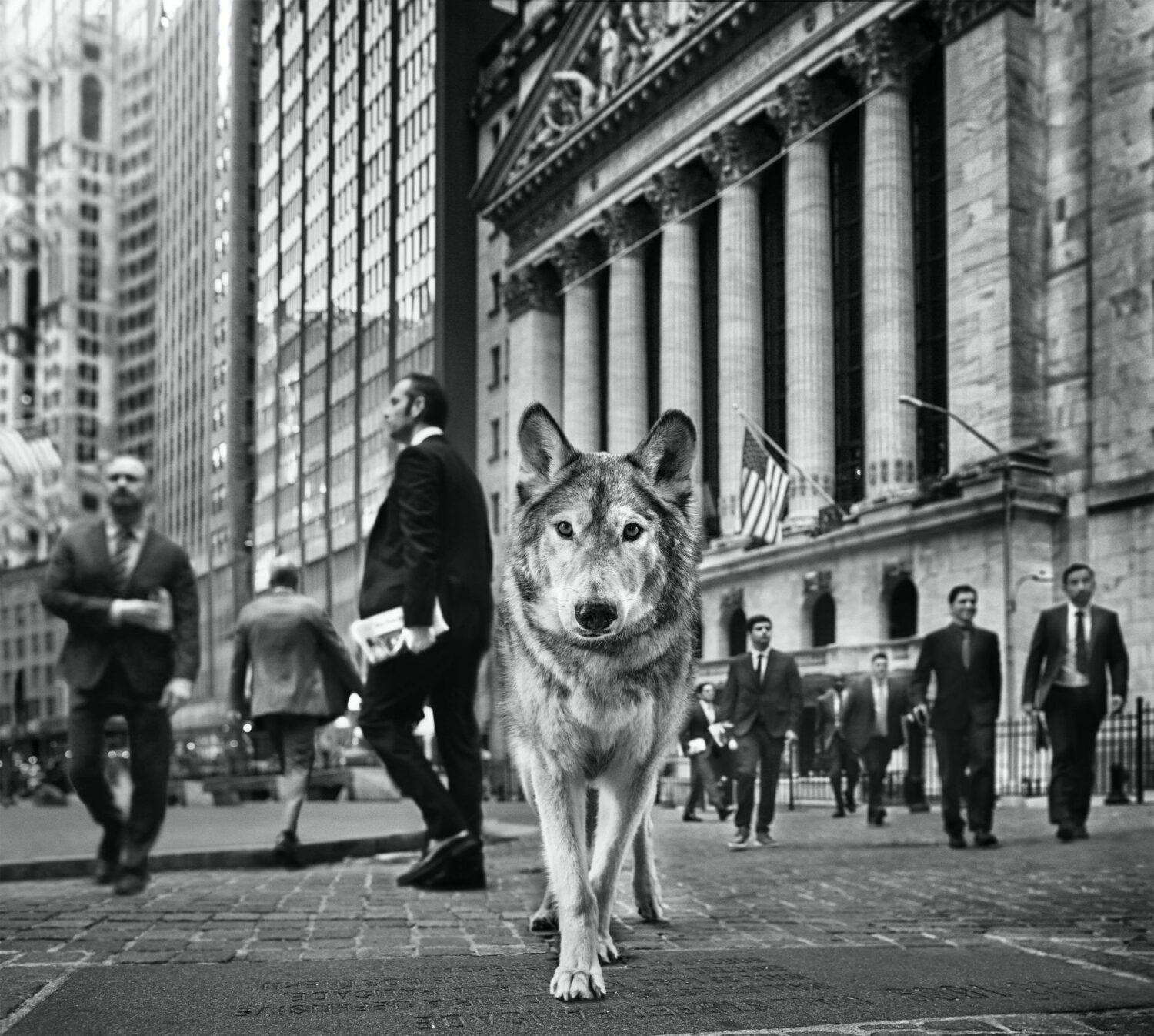 David Yarrow: Wall Street