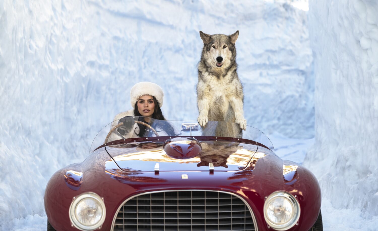 David Yarrow: Driving Home For Christmas