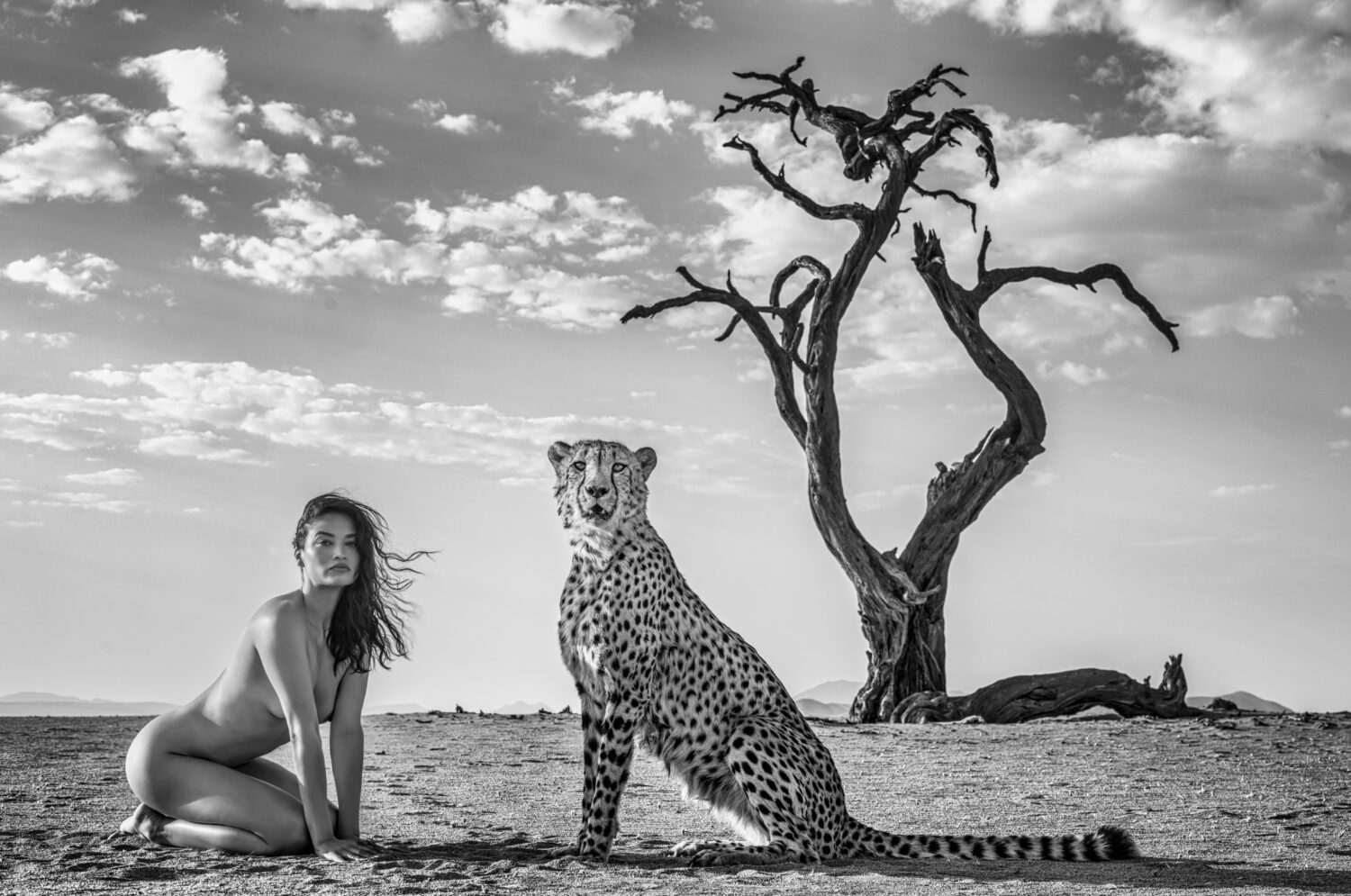 David Yarrow: Enjoy the Silence