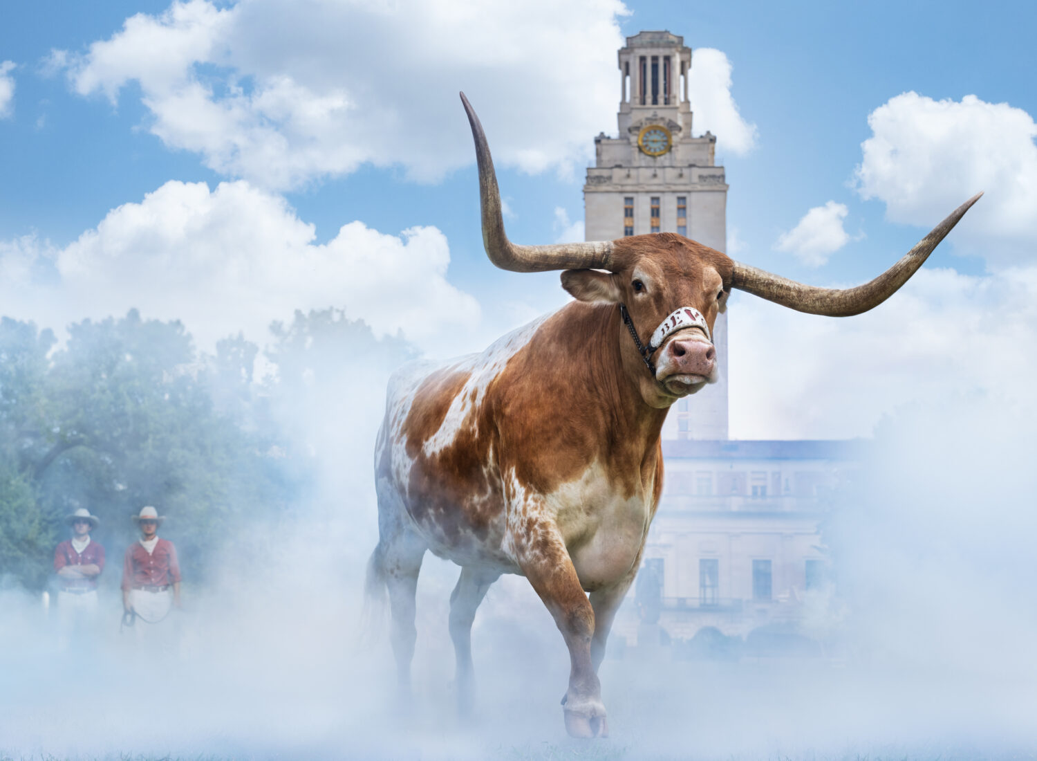 David Yarrow: Hook Em Horns (Colour)