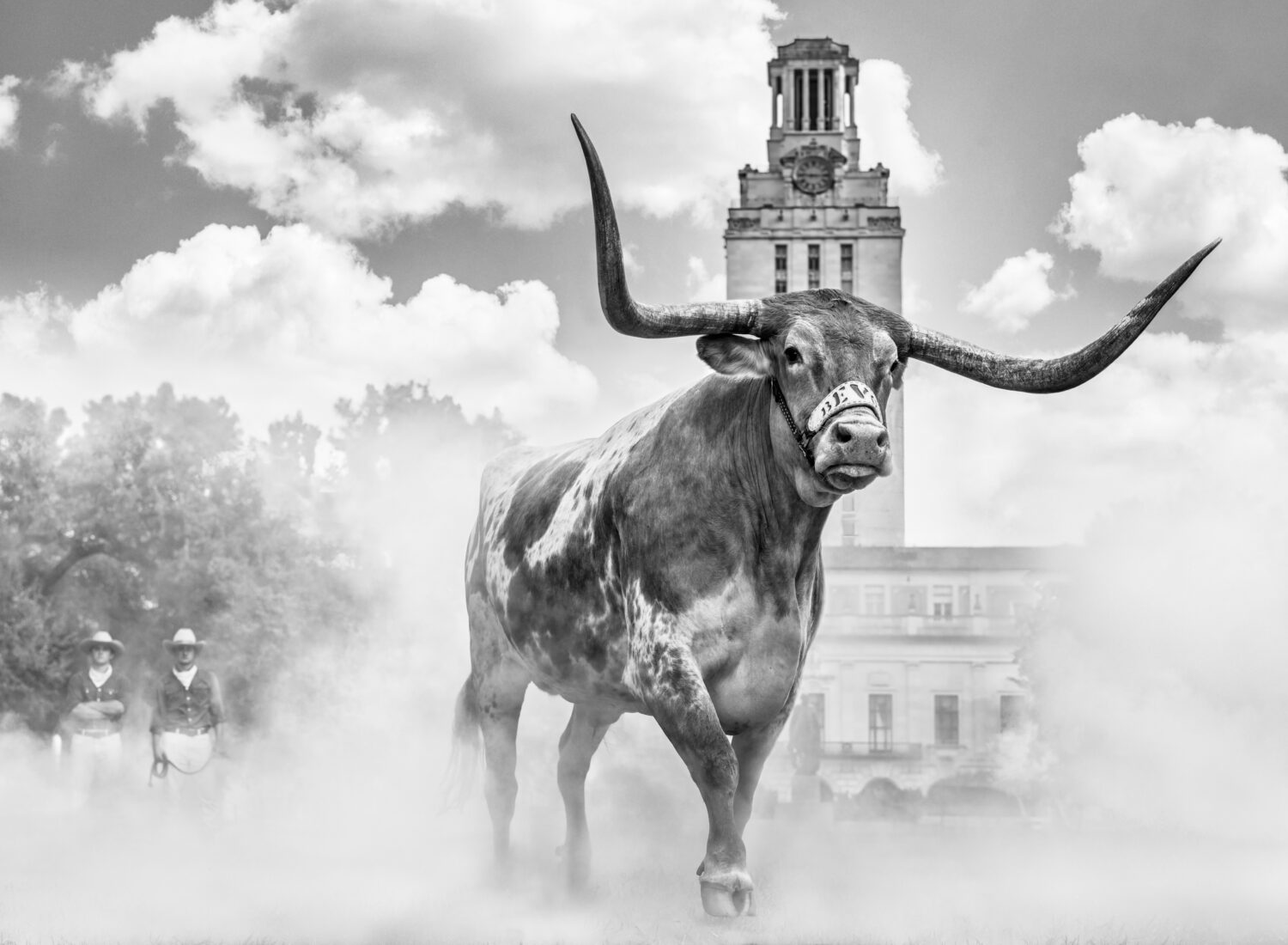 David Yarrow: Hook Em Horns