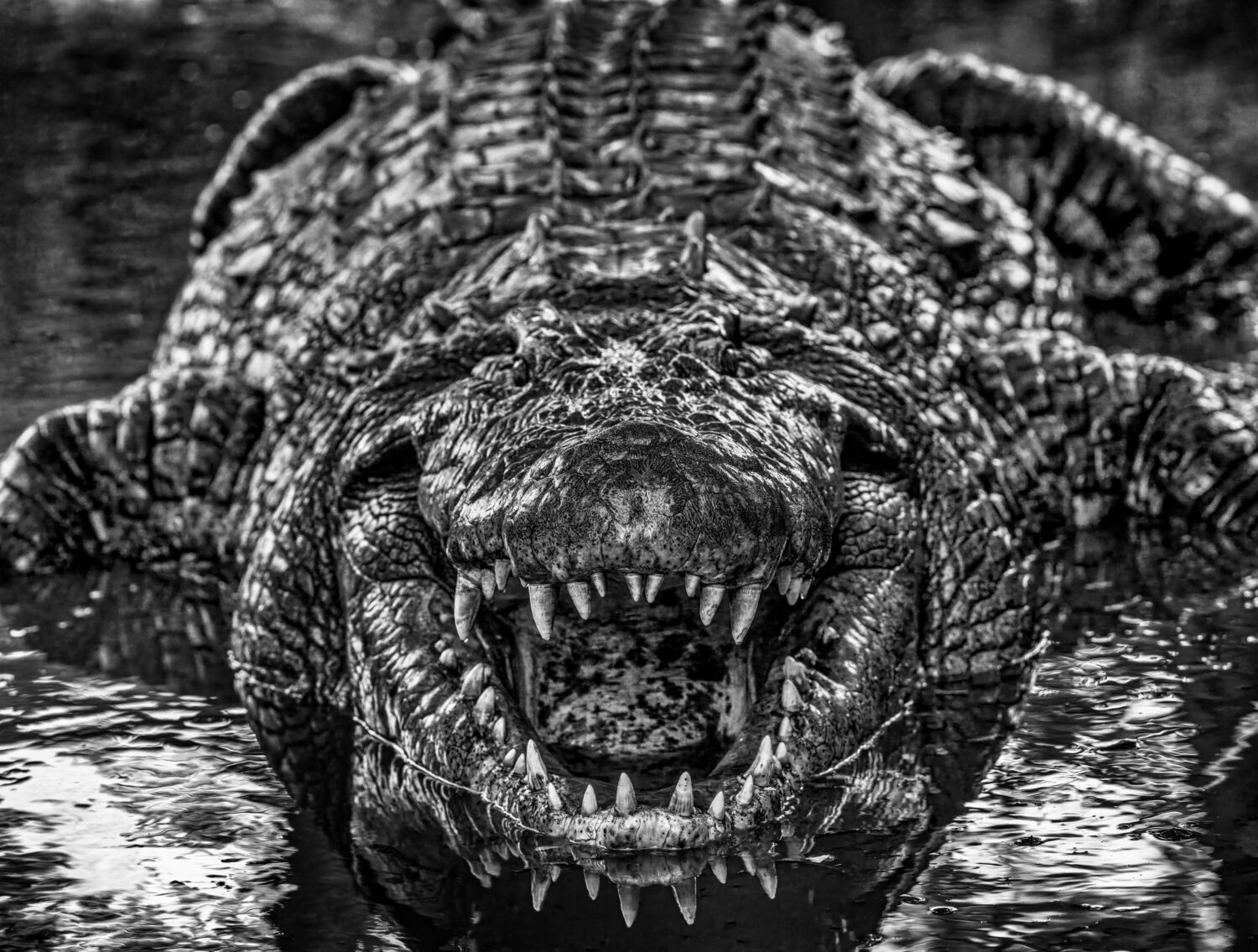 David Yarrow: Jurassic Park