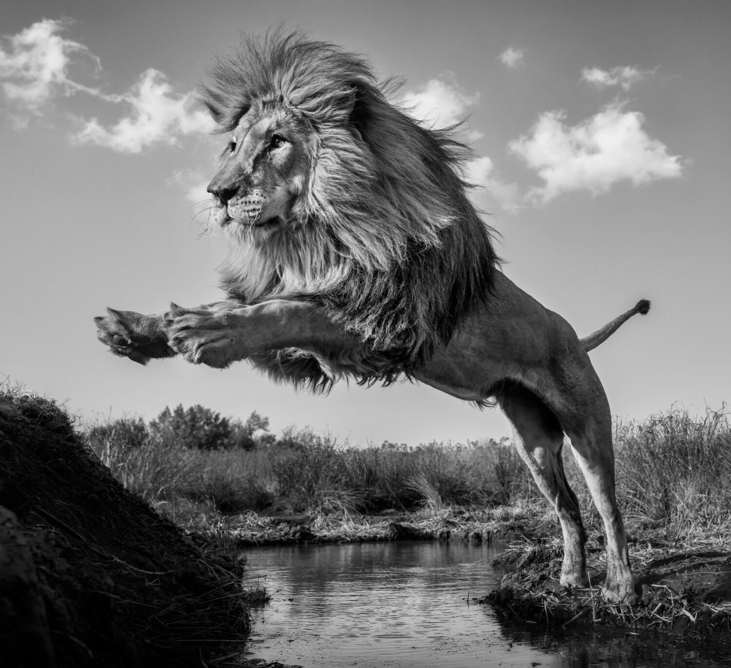 David Yarrow: O Captain! My Captain!