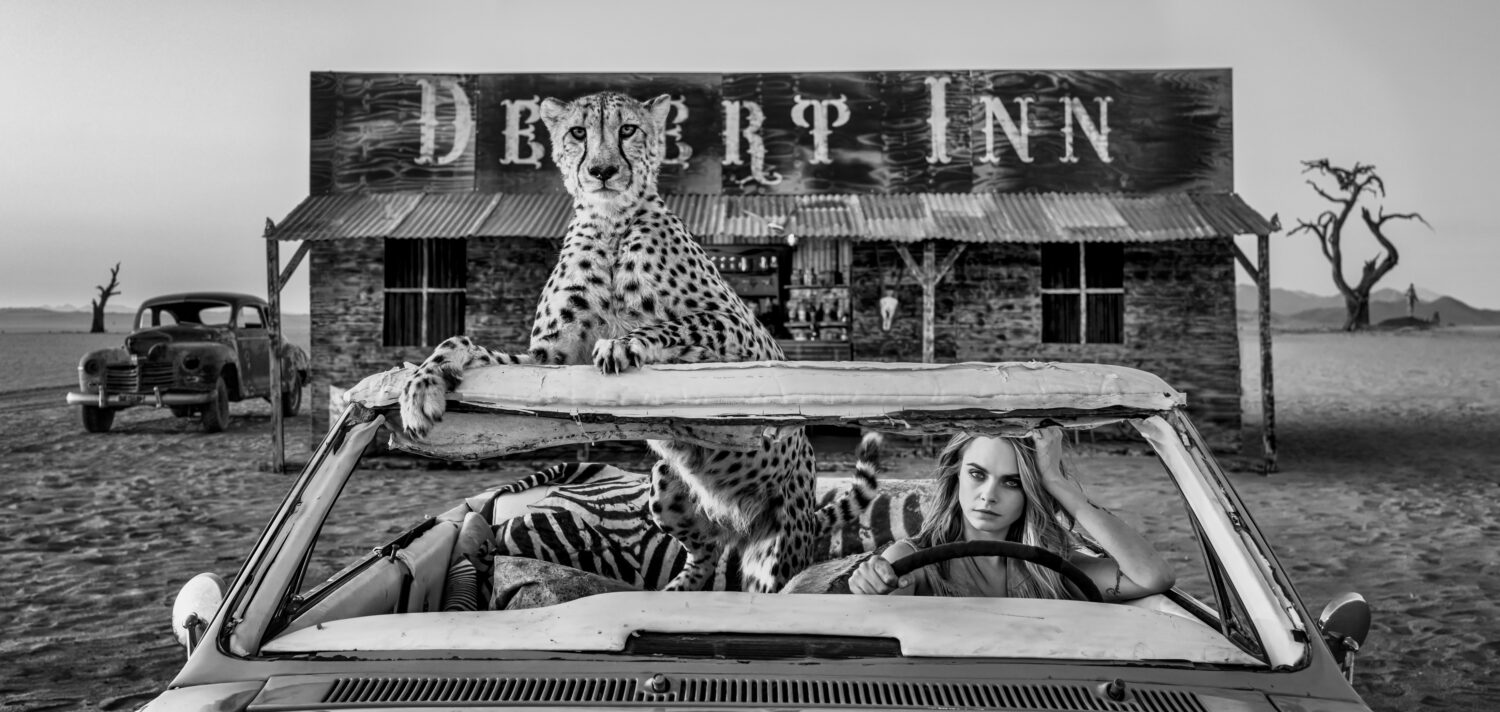 David Yarrow: Bad Asses