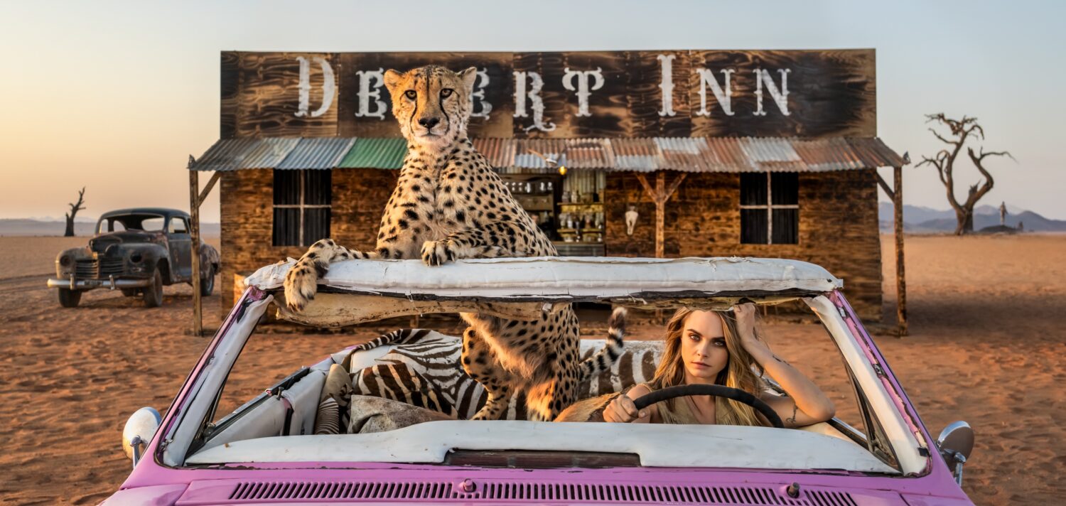 David Yarrow: Bad Asses (Colour)