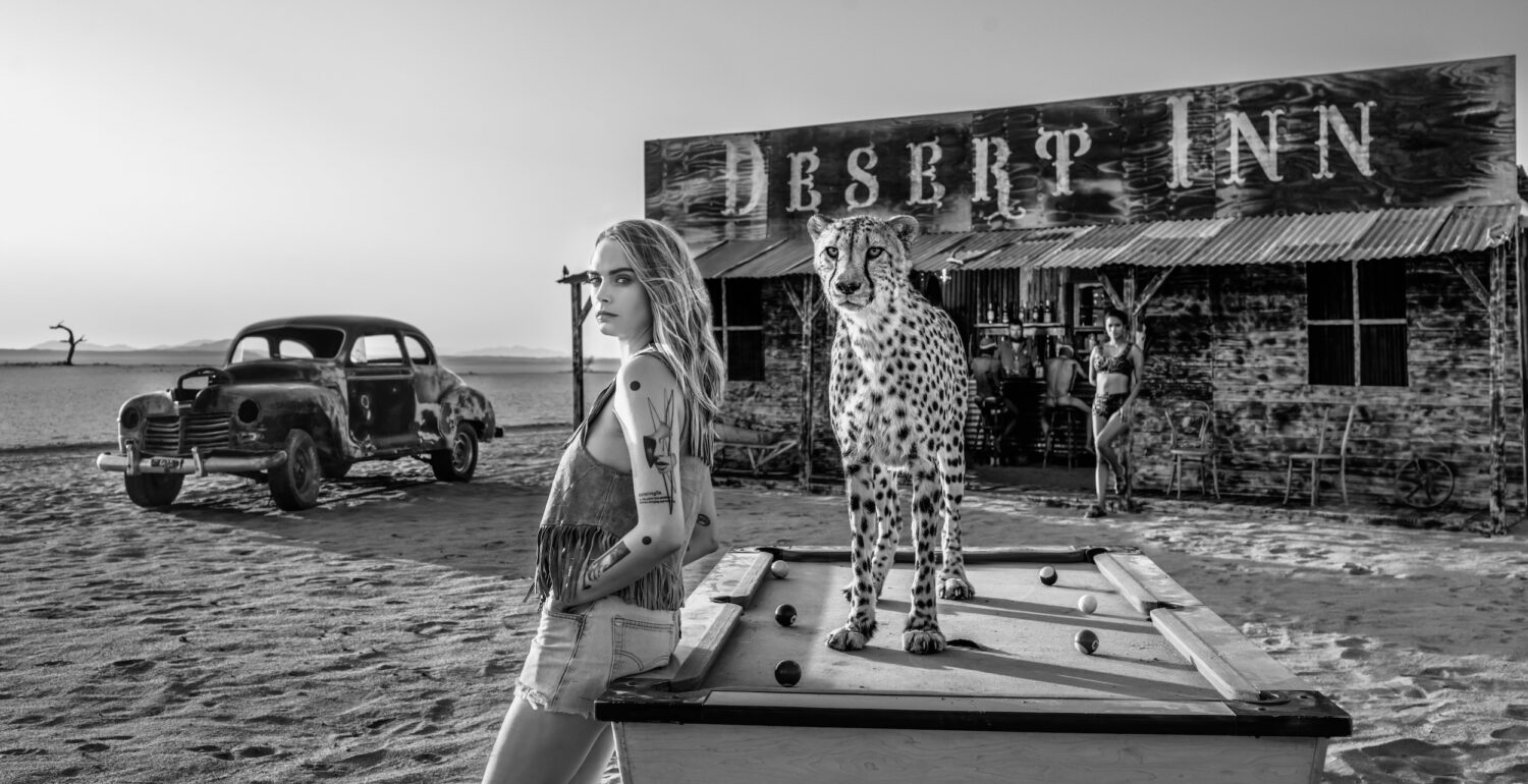 David Yarrow: Rack Em Up