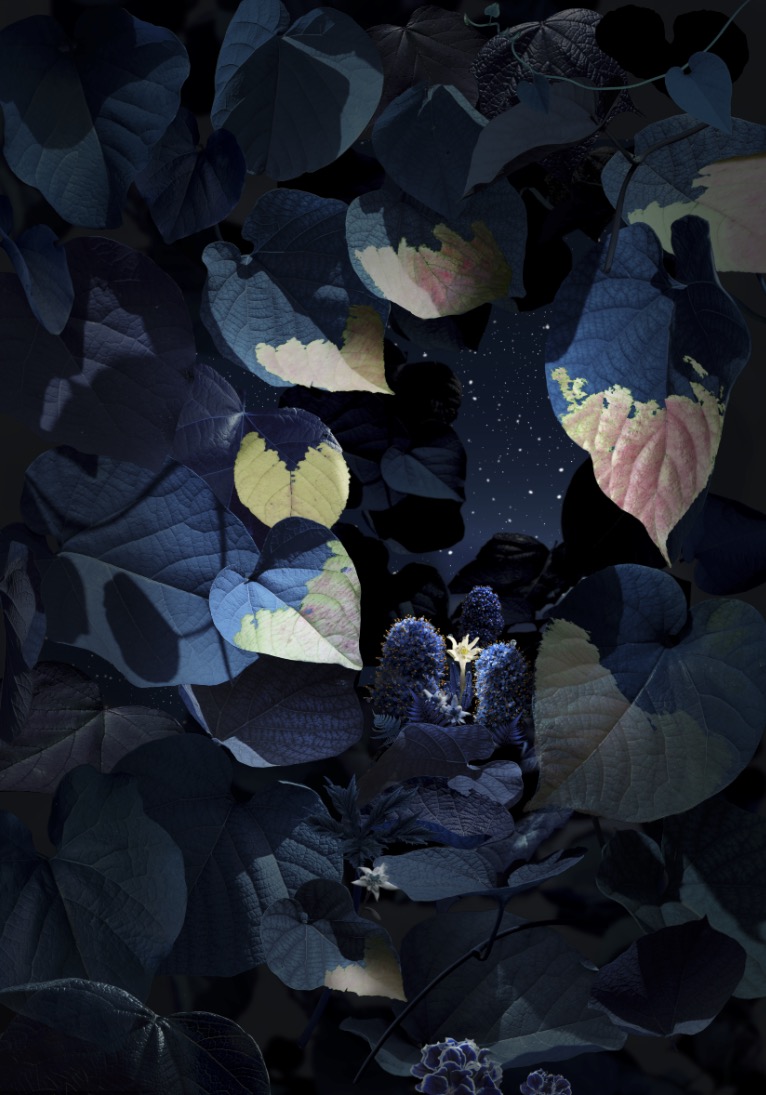 Ruud Van Empel: Floresta Negra #6