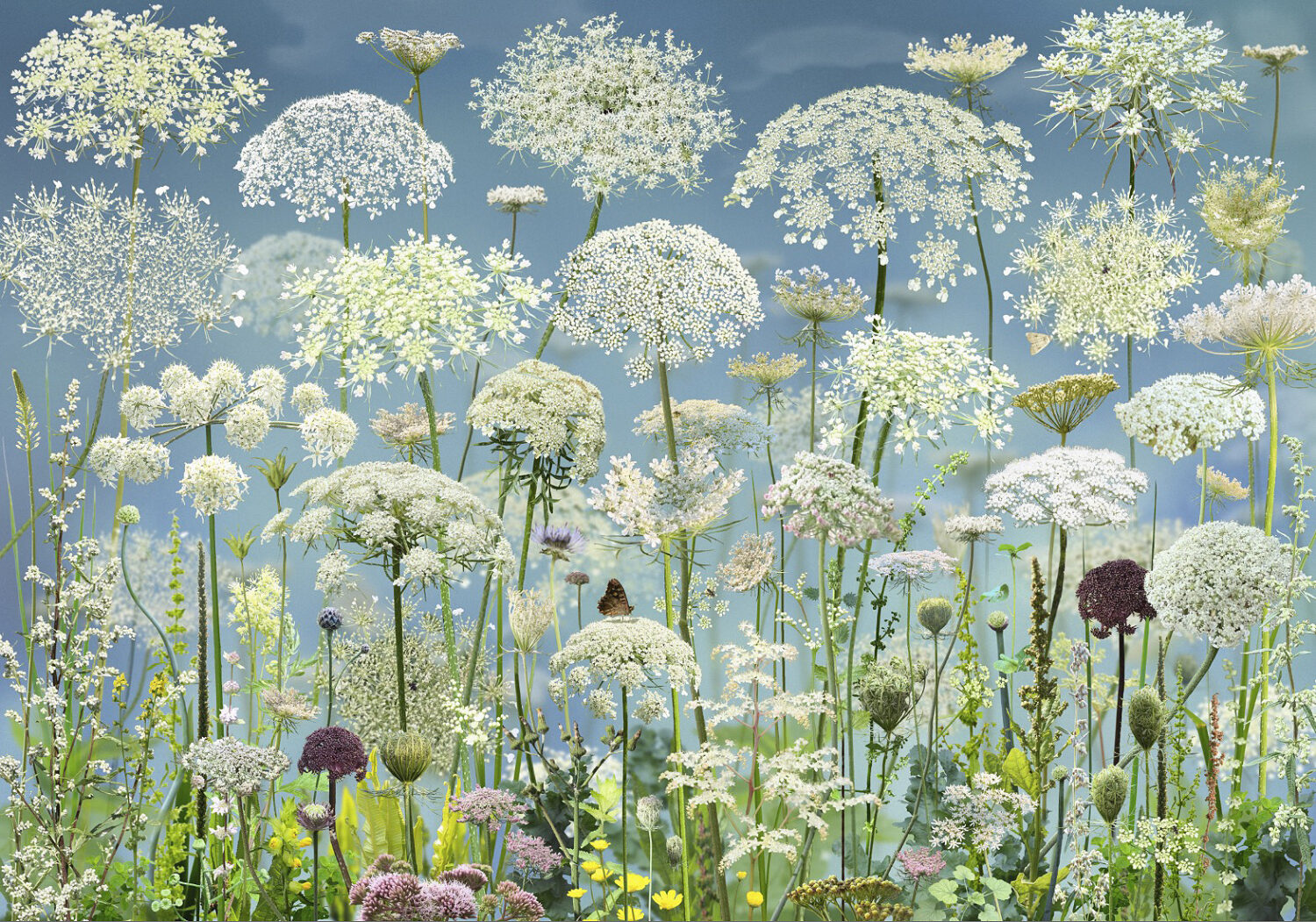 Ruud Van Empel: Floresta #14