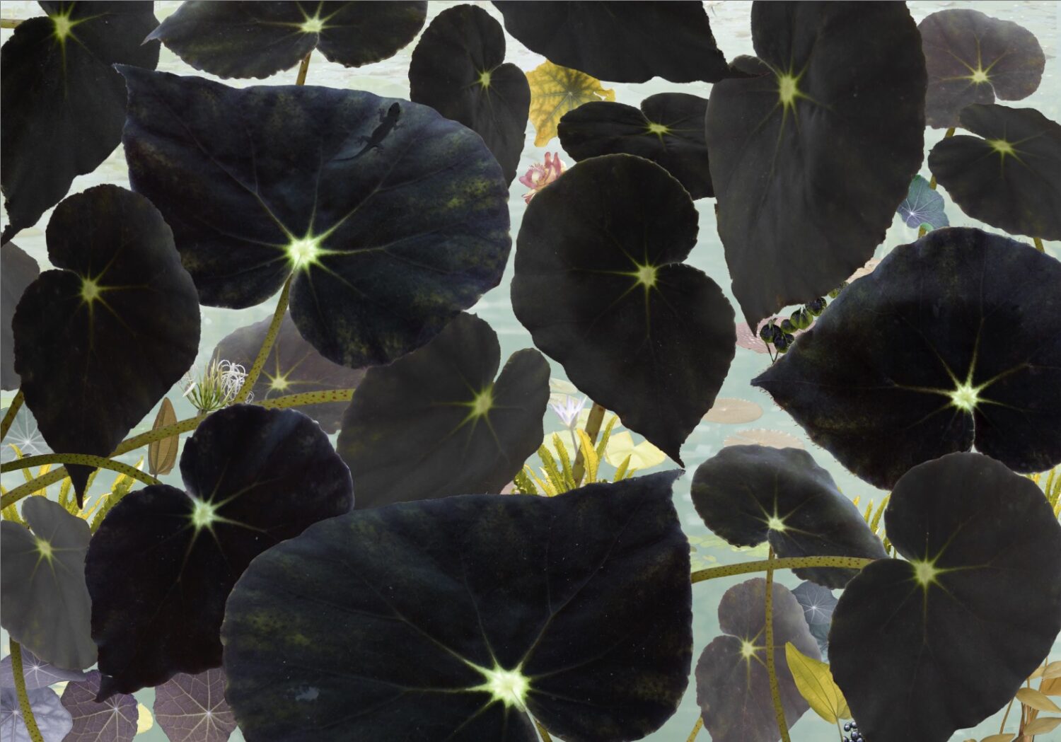 Ruud Van Empel: Floresta #3