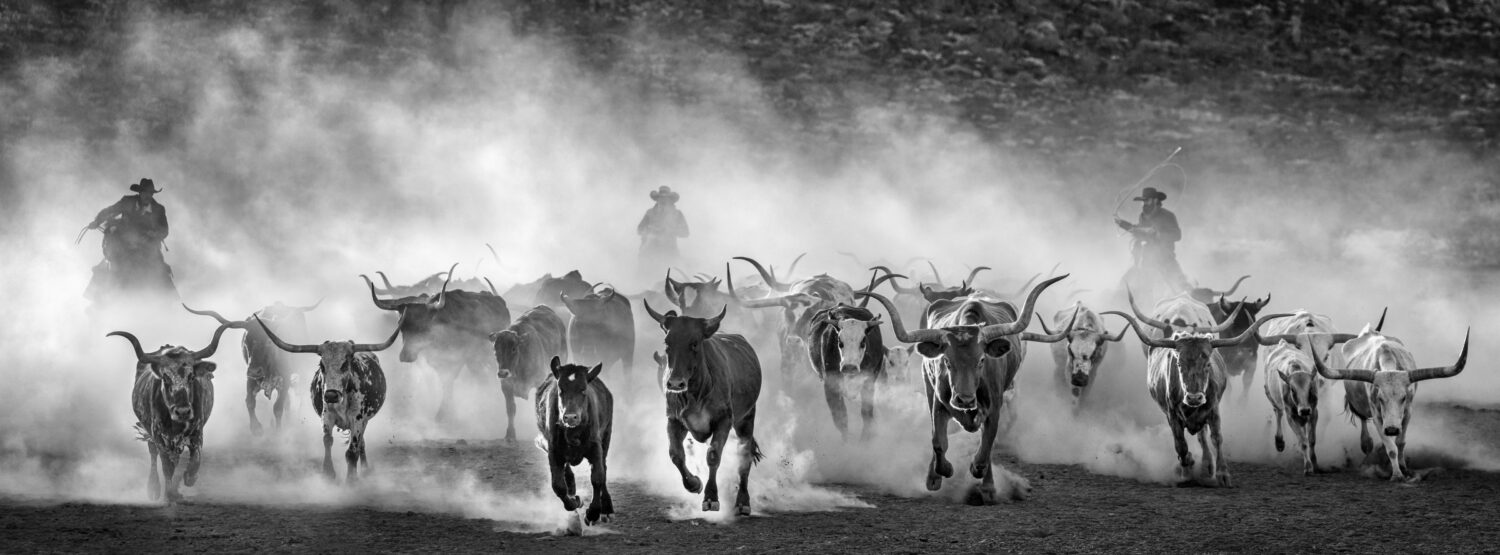 David Yarrow: Lonesome Dove