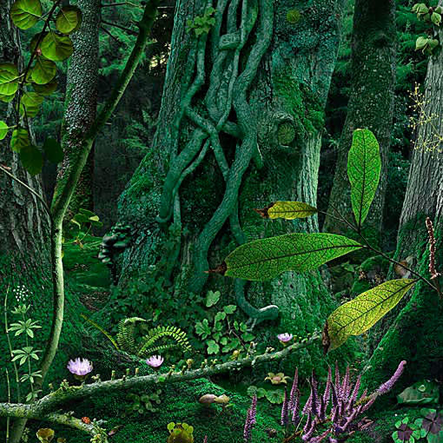 Ruud Van Empel: Theatre #1