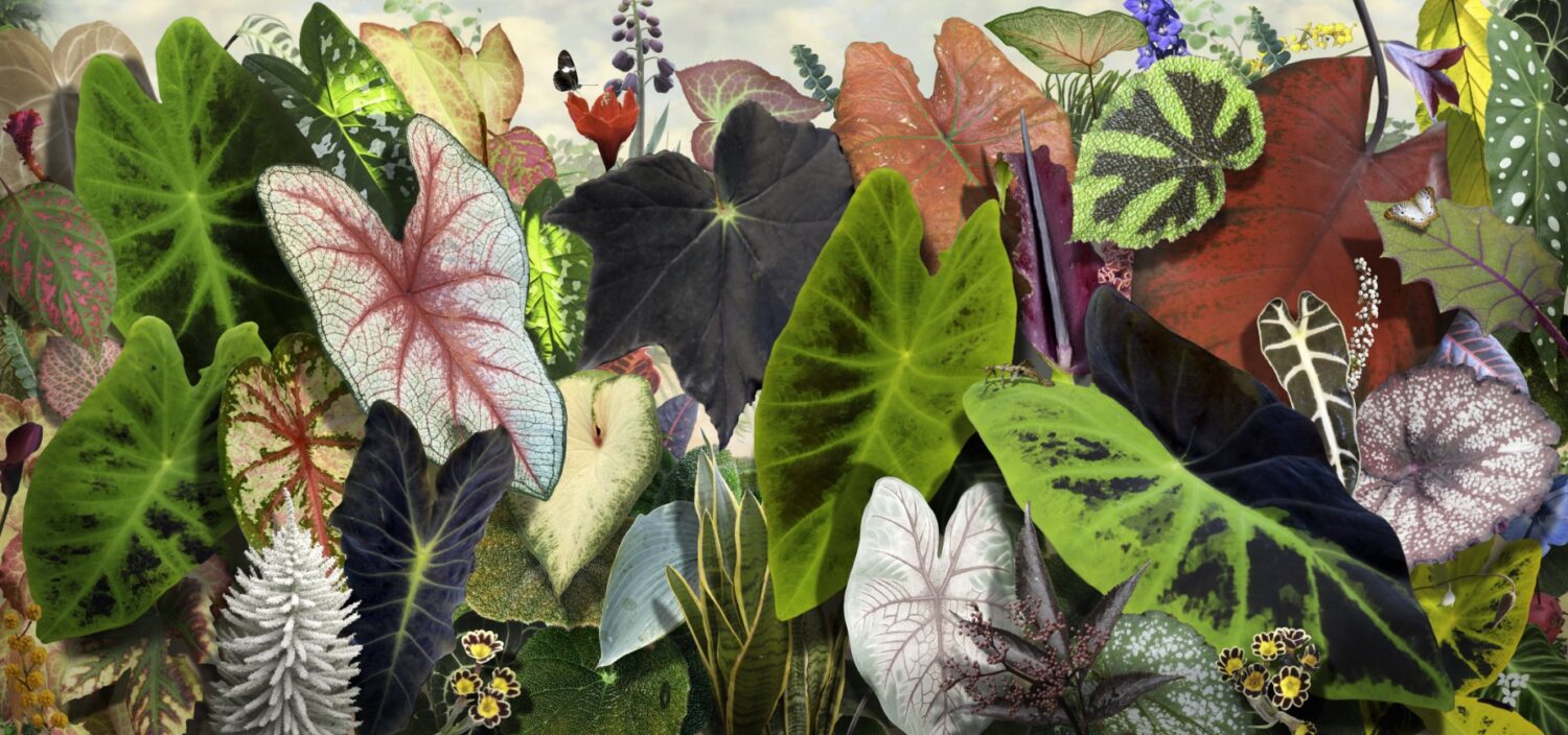 Ruud Van Empel: Voyage Pittoresque #10