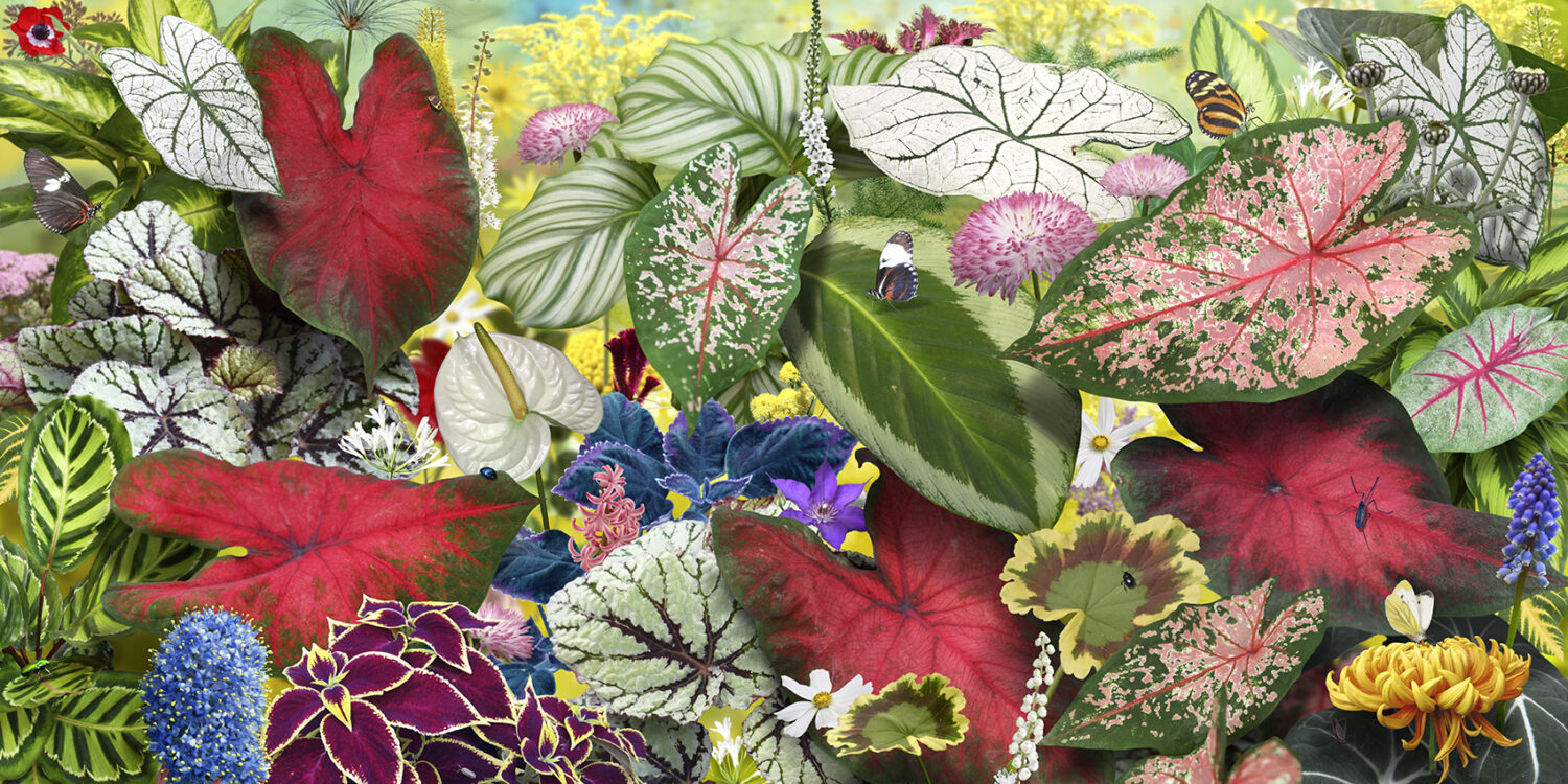 Ruud Van Empel: Voyage Pittoresque #6