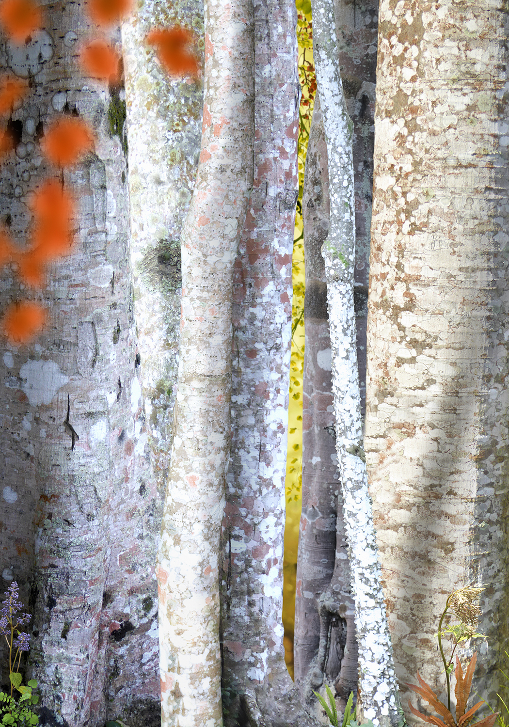 Ruud van Empel: Collage #2