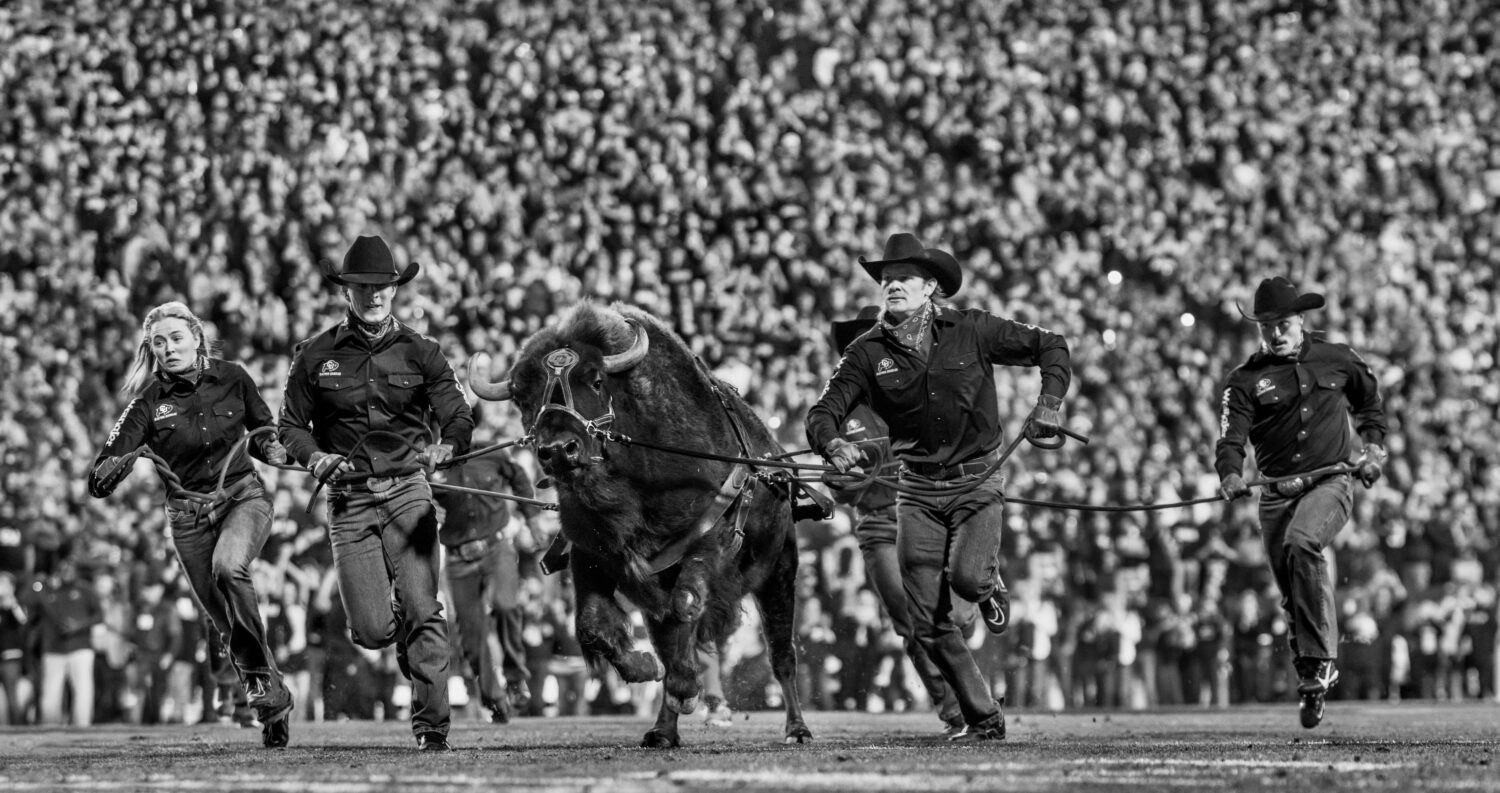 David Yarrow: Ralphie the Buffalo