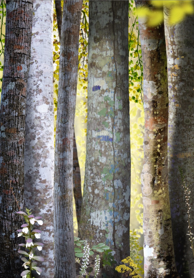 Ruud van Empel: Collage #1